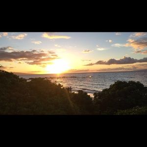 Meet your Posher, Ava